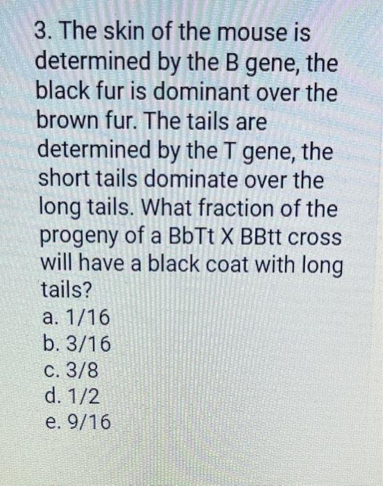 3. The skin of the mouse is determined by the \( \mathrm{B} \) gene, the black fur is dominant over the brown fur. The tails