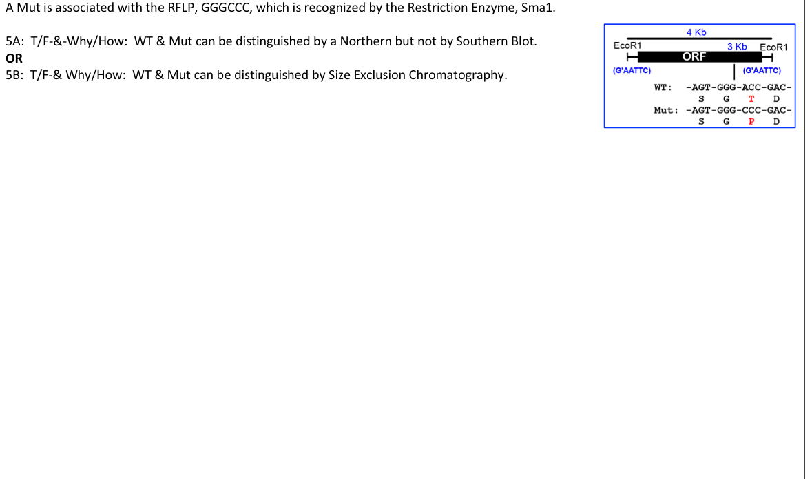 solved-a-mut-is-associated-with-the-rflp-gggccc-which-is-chegg