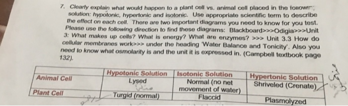 Solved 7. Clearly explain what would happen to a plant cell 