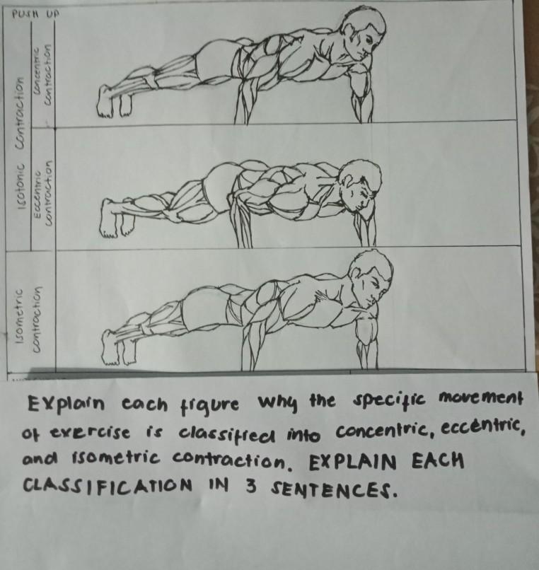 Concentric contraction online exercises