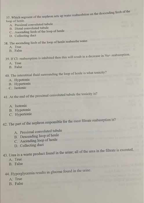 Solved 37. Which segment of the nephron sets up water | Chegg.com