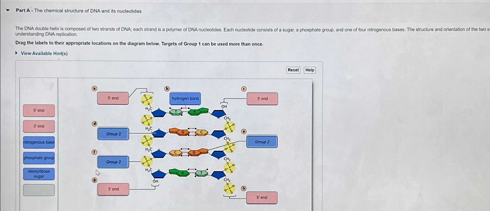 Solved Part A - ﻿The chemical structure of DNA and its | Chegg.com