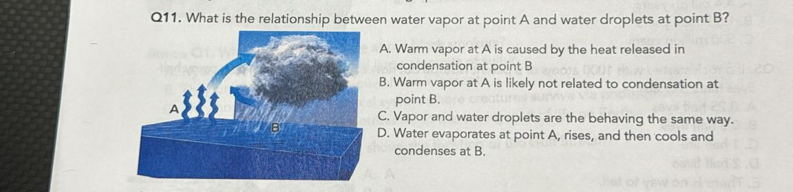 Solved Q11. ﻿What is the relationship between water vapor at | Chegg.com