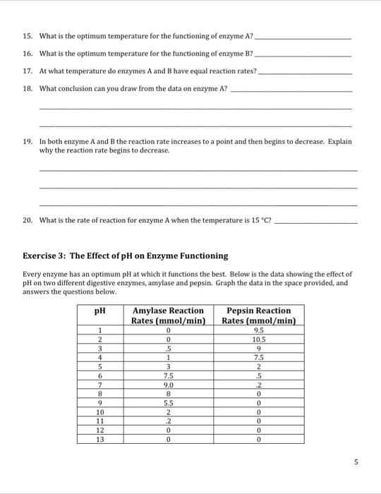 solved-name-date-s-e-s-enzymes-graphing-critical-chegg