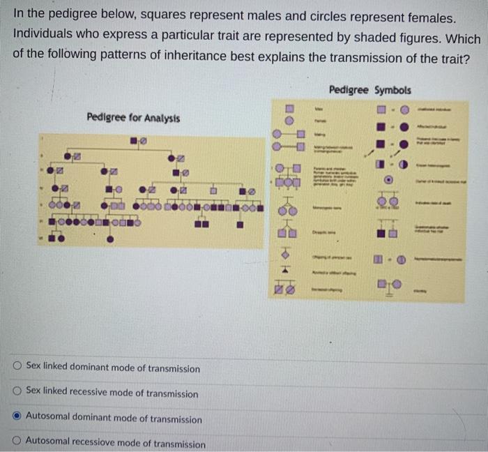 Solved In the pedigree below, squares represent males and | Chegg.com
