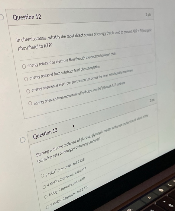 Solved 2pts Question 12 In chemiosmosis, what is the most | Chegg.com
