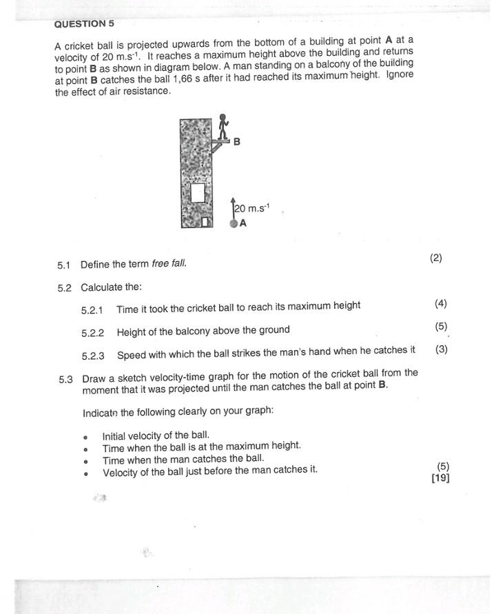 Solved A cricket ball is projected upwards from the bottom