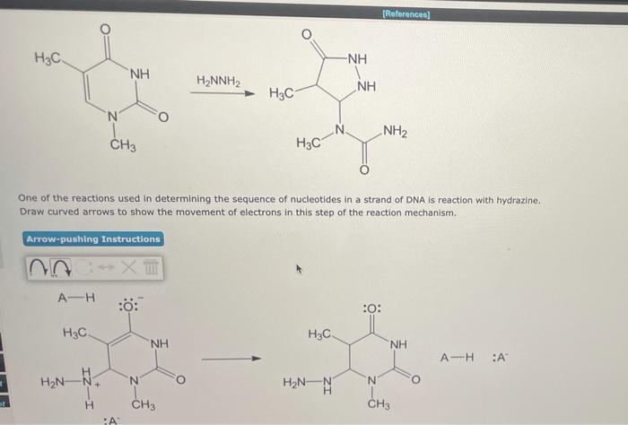 Solved (References) H₃C. -NH NH H2NNH2 H3C NH 'N NH2 CH3 H3C | Chegg.com