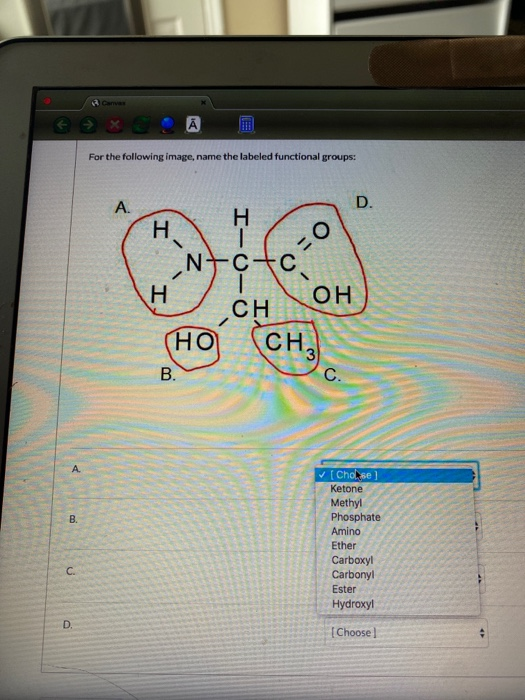 Solved A For The Following Image Name The Labeled Functi Chegg Com