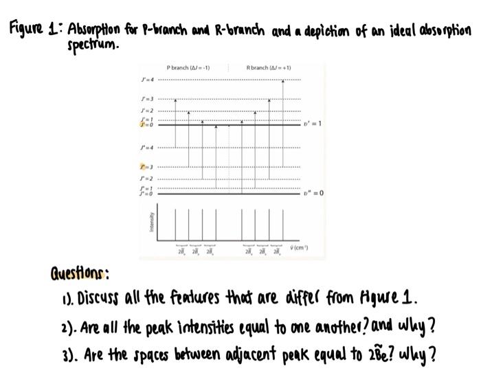 Solved Figure 1: Absorption for P-branch and R-branch and a | Chegg.com