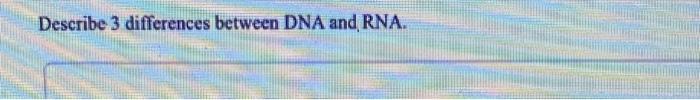 Solved Describe 3 differences between DNA and RNA. | Chegg.com