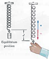 Solved: Oscillating Spring A mass attached to a spring oscillates ...