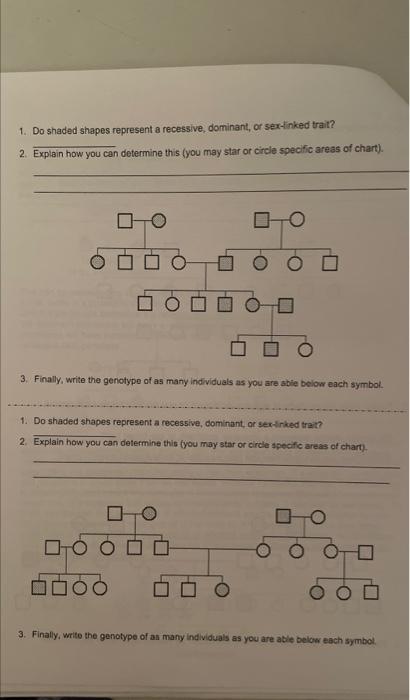 1. Do shaded shapes represent a recessive, dominant, or sex-linked trait?
2. Explain how you can determine this (you may star