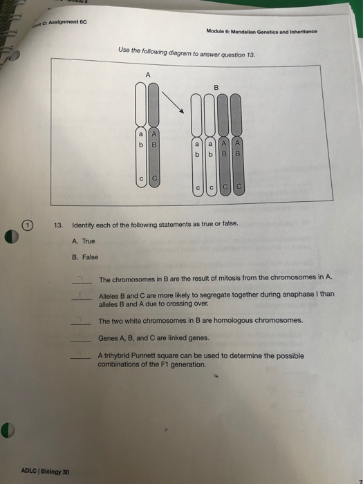 Solved Assignment 6C Module 6: Mendelian Genetics And | Chegg.com