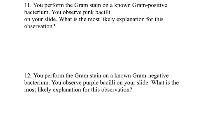 Solved 10. What step in the Gram stain procedure is most | Chegg.com