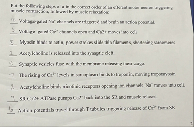 Solved Put the following steps of a in the correct order of | Chegg.com