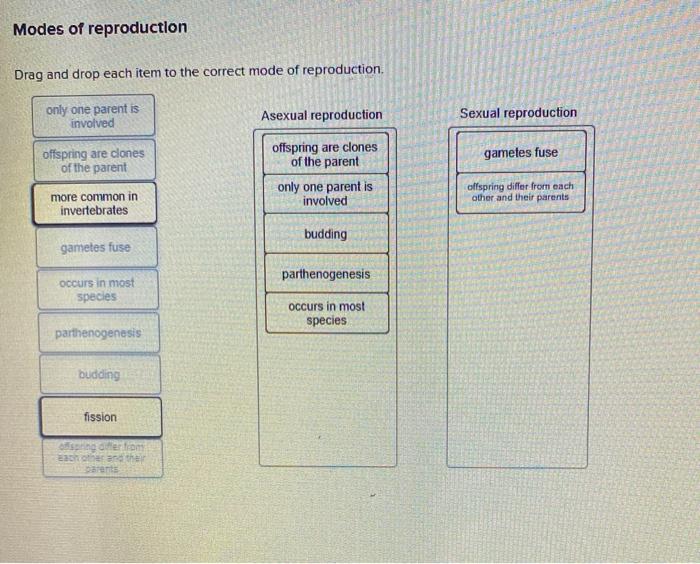 Solved Drag and drop each item to the correct method of