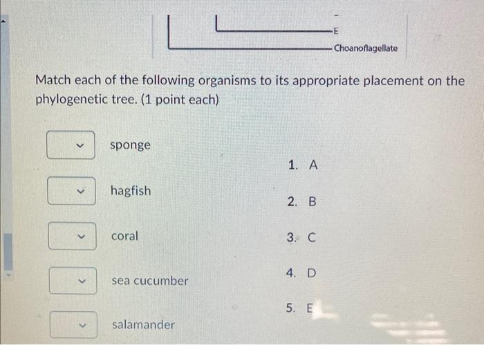Solved Match each of the following organisms to its | Chegg.com