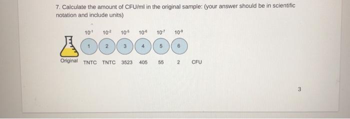 7. Calculate the amount of CFU/ml in the original sample: (your answer should be in scientific notation and include units) 10