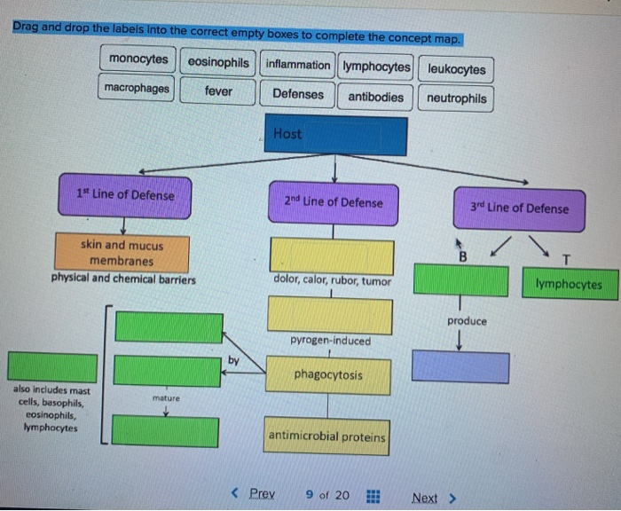 Solved Drag and drop the labels Into the correct empty boxes