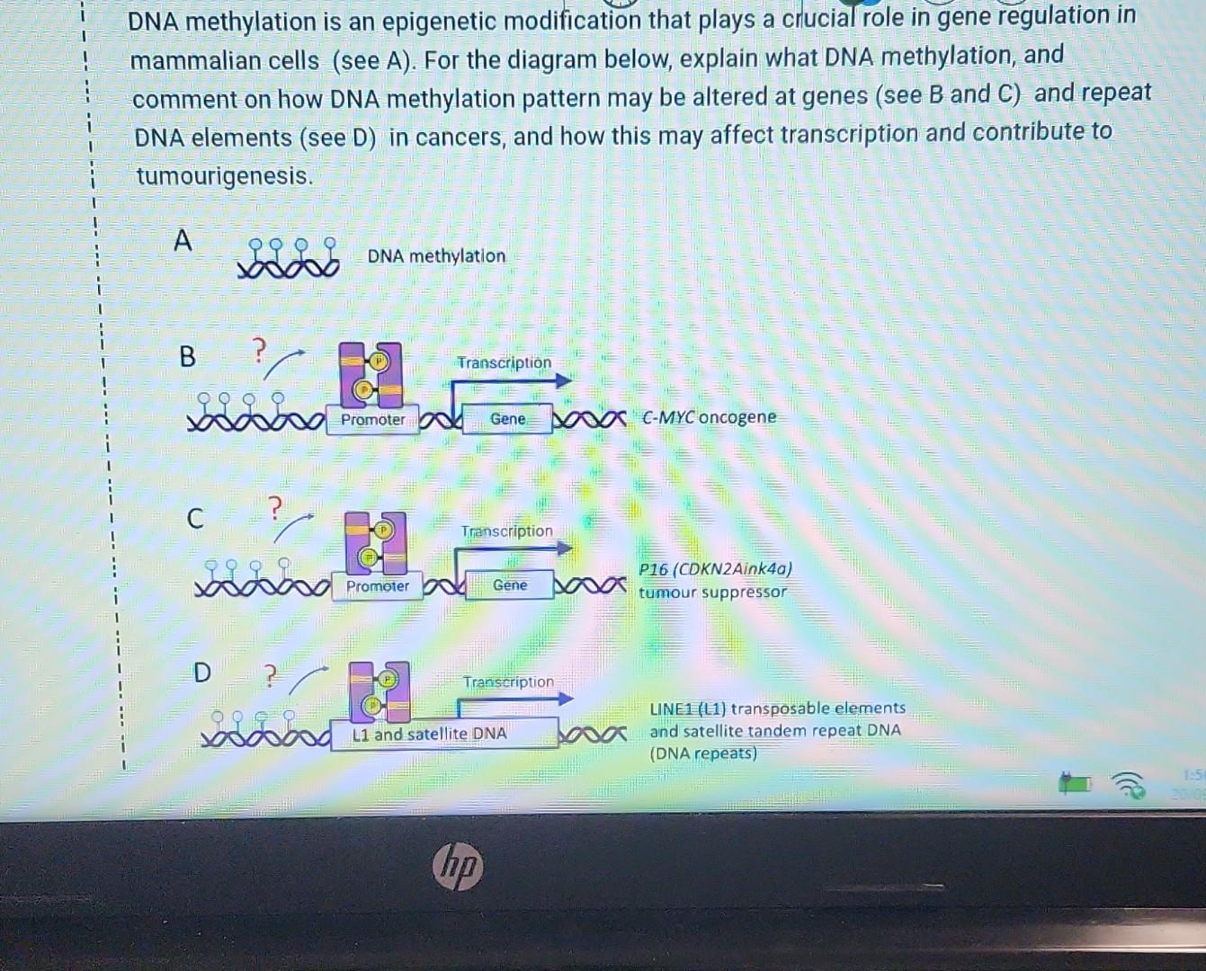 Solved DNA methylation is an modification that