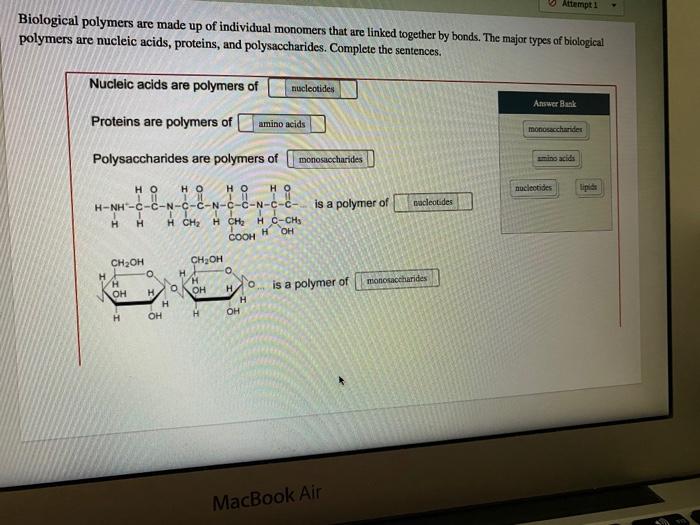 Solved Attempt Biological polymers are made up of individual