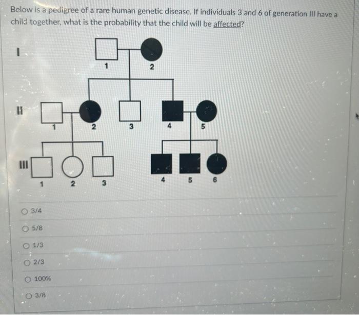 Below is a pedigree of a rare human genetic disease. | Chegg.com