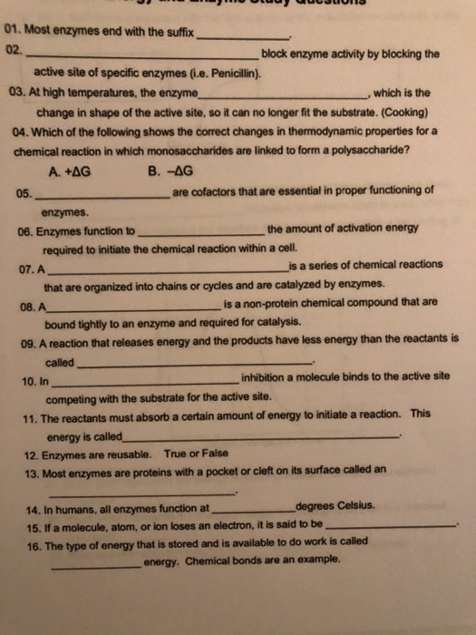 Solved U U UUUUUUUUI15 01. Most enzymes end with the suffix