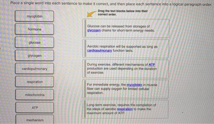 Solved Place A Single Word Into Each Sentence To Make It Chegg