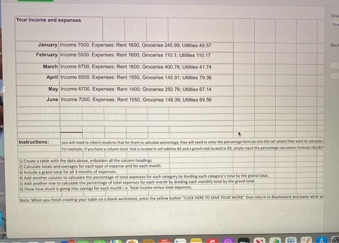 She Your income and expenses She Bach January Income 7000. Expenses: Rent 1600, Groceries 245.99; Utilities 49.57 February In