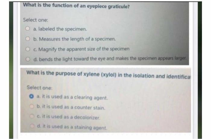 what function of an eyepiece graticule