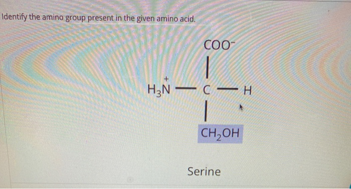 Solved Identify the amino group present in the given amino | Chegg.com
