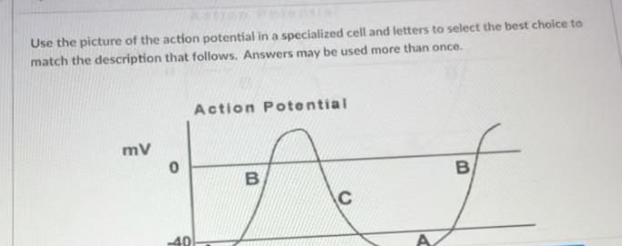 voltage gated calcium channels action potential