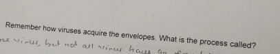 Solved Remember how viruses acquire the envelopes. What is | Chegg.com