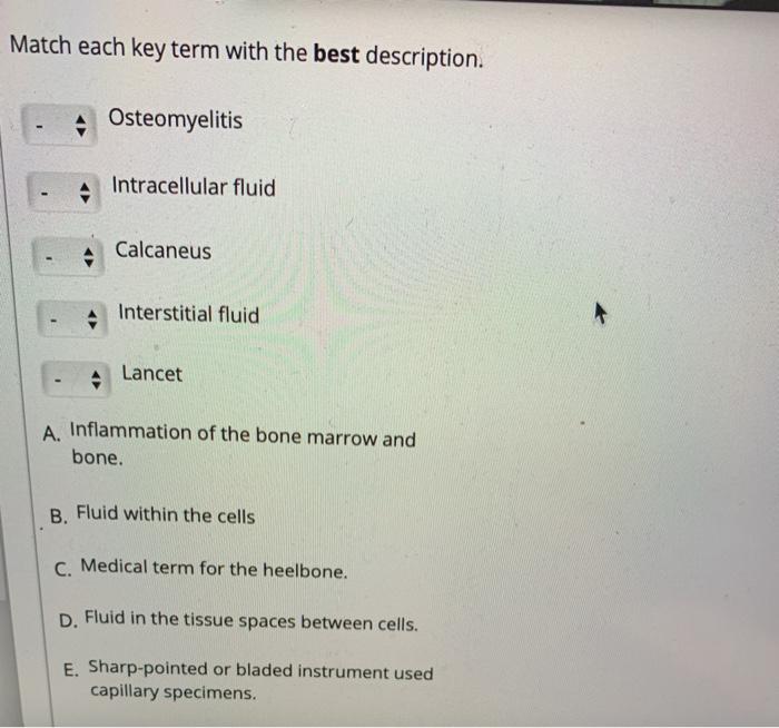 Solved Match each key term with the best description.