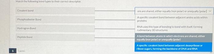 Solved Match the following bond types to their correct | Chegg.com
