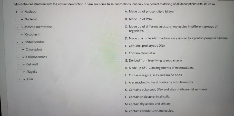 Solved Match the cell structure with the correct | Chegg.com