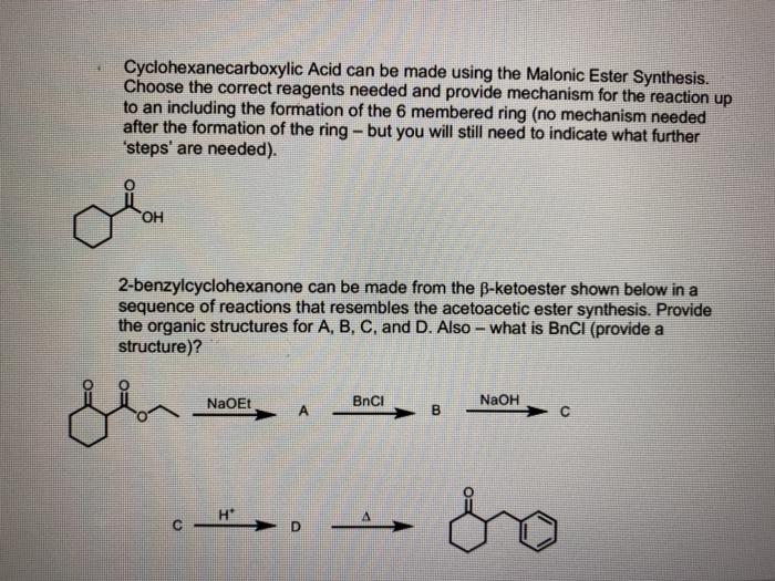 Solved Cyclohexanecarboxylic Acid Can Be Made Using The Chegg Com