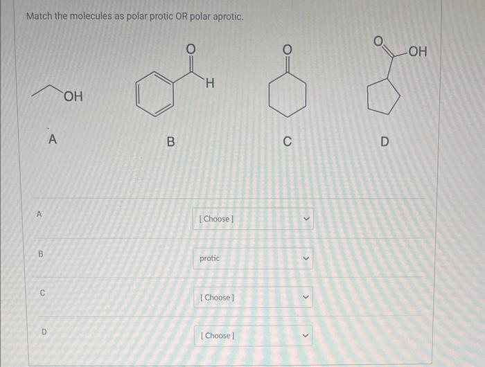 Solved Match The Molecules As Polar Protic Or Polar Aprotic 7745