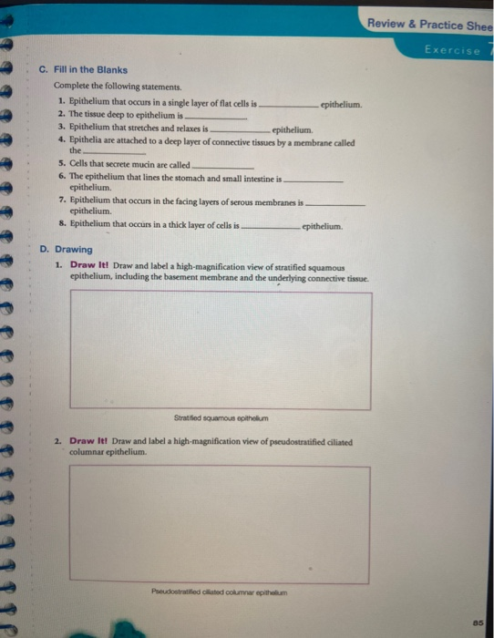 Now Available In Masteringa P Review Practice She Chegg 