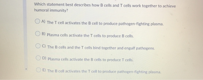 Solved Question 6 (2 points) Which step is NOT part of the | Chegg.com
