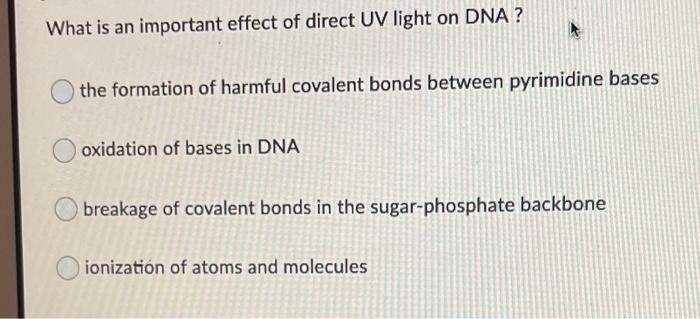 Solved What is an important effect of direct UV light on | Chegg.com