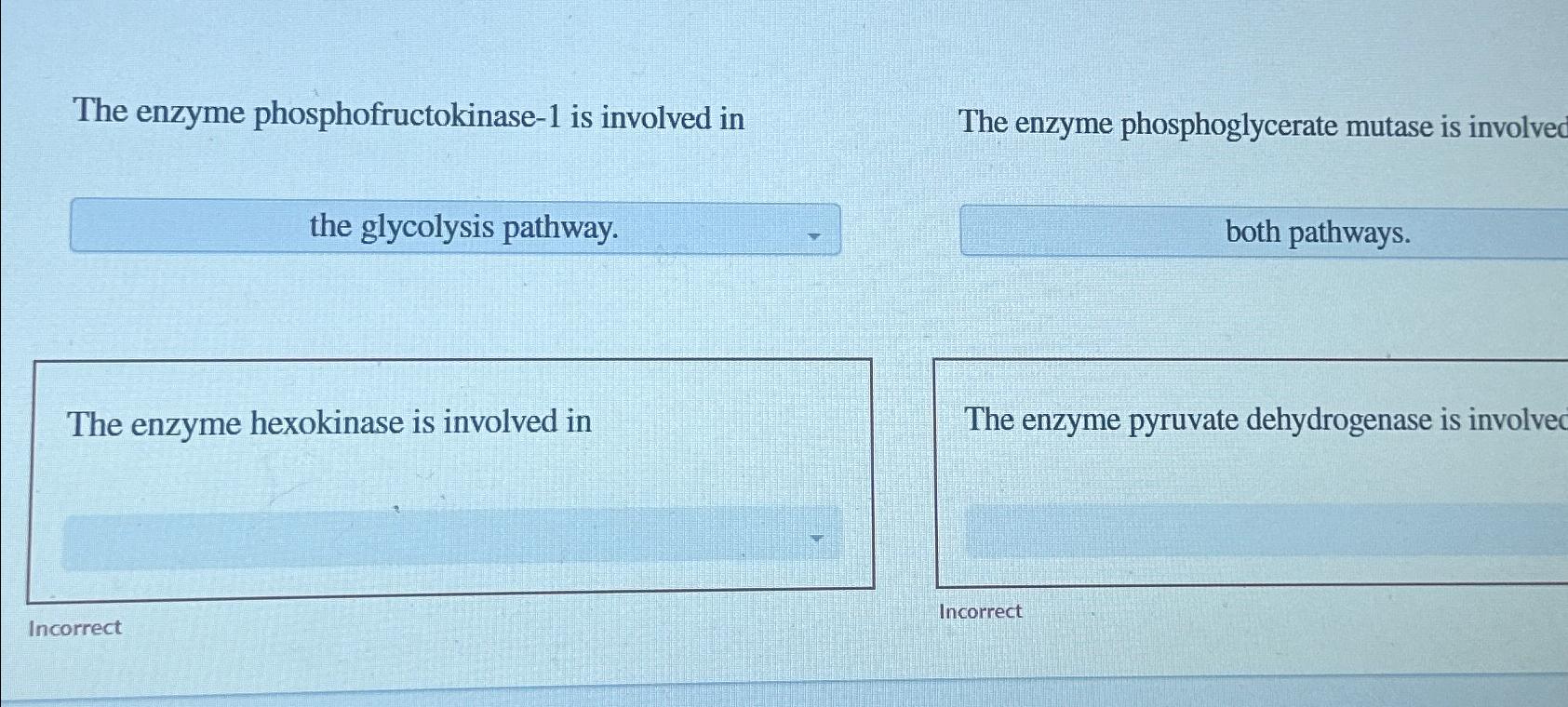 Solved The enzyme phosphofructokinase-1 ﻿is involved inthe | Chegg.com