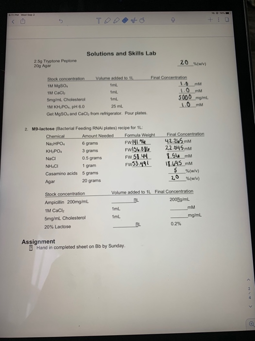 3 11 Pm Wed Sep 2 Tog Solutions And Skills Lab 2 Chegg Com