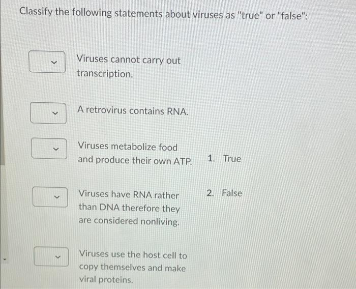 Solved Classify The Following Statements About Viruses As Chegg