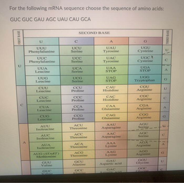 Solved For the following mRNA sequence choose the sequence