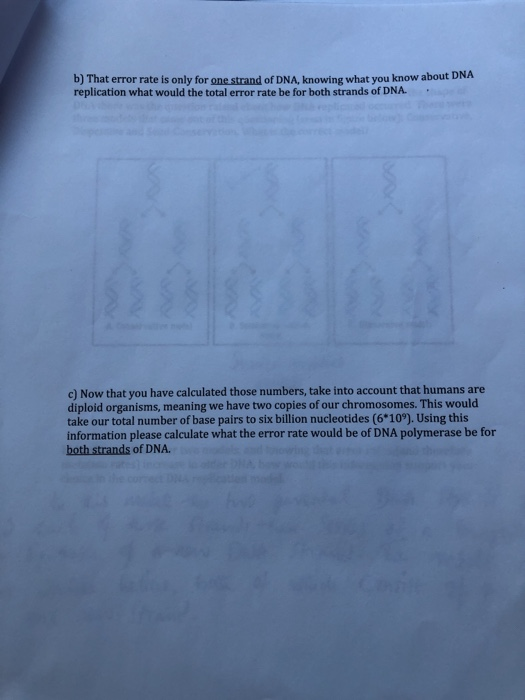 accepted that dna polymerase
