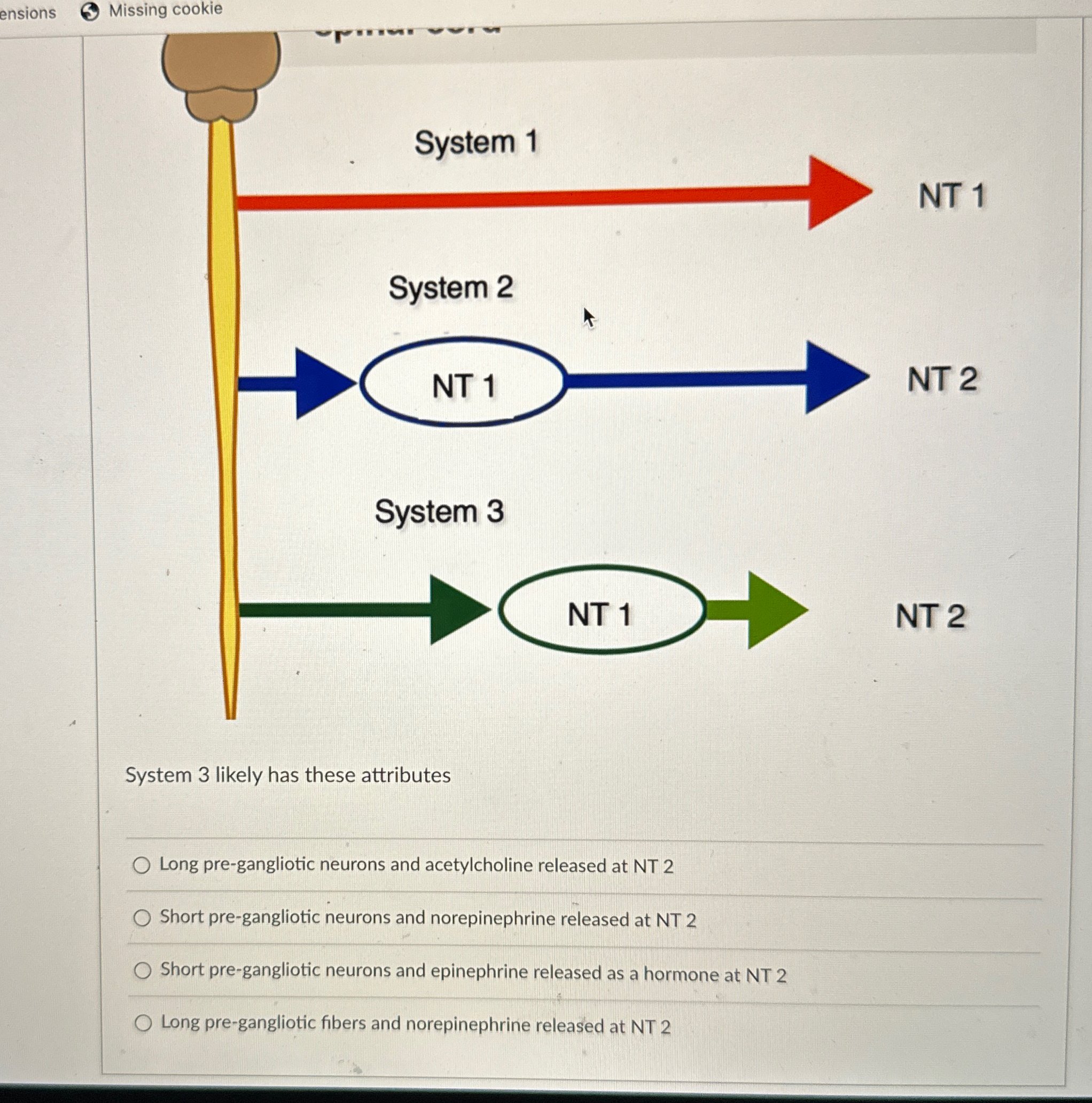 Solved (5) ﻿Missing cookieSystem 3 ﻿likely has these | Chegg.com