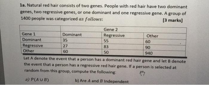 solved-1a-natural-red-hair-consists-of-two-genes-people-chegg