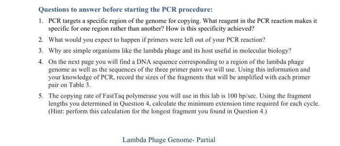 Solved Questions to answer after PCR \& Gel Electrophoresis: | Chegg.com